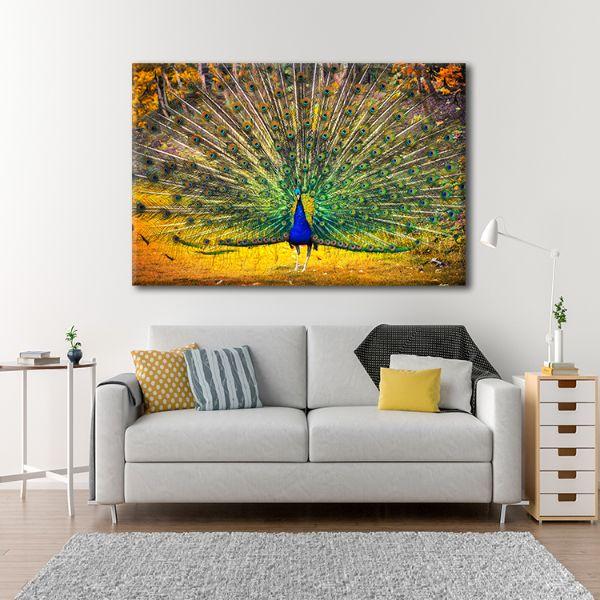 Blue Peacock Canvas Art – CA Go Canvas