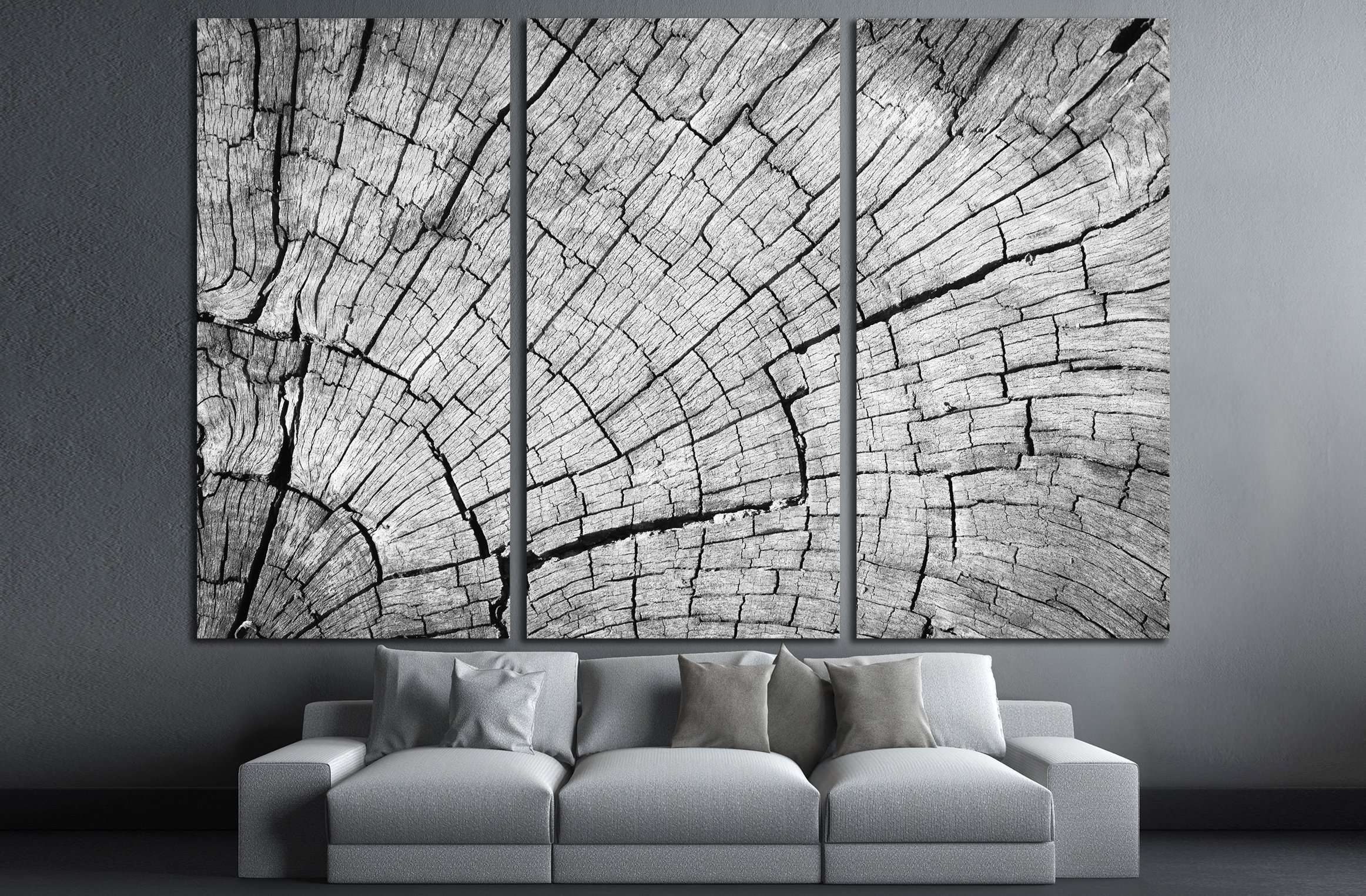 Old Gray cracked wood texture background Canvas Art Wall Decor 3