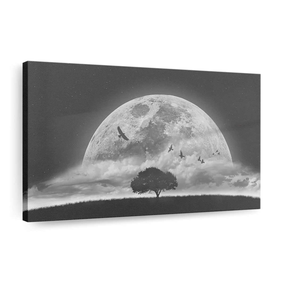 A Dream Canvas Wall Art, Modern Art, Framed Canvas