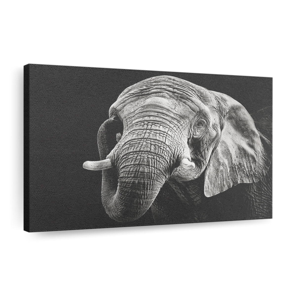 African Elephant Canvas Wall Art, Modern Art, Framed Canvas