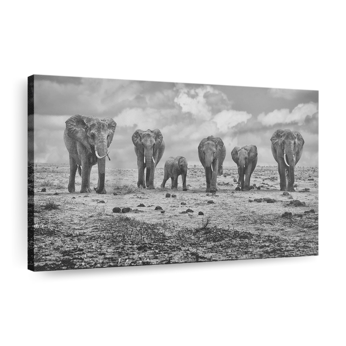 Big Family Canvas Wall Art, Modern Art, Framed Canvas