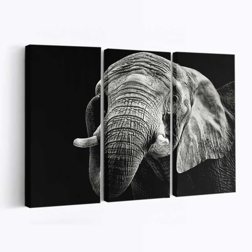 African Elephant Canvas Wall Art, Modern Art, Framed Canvas