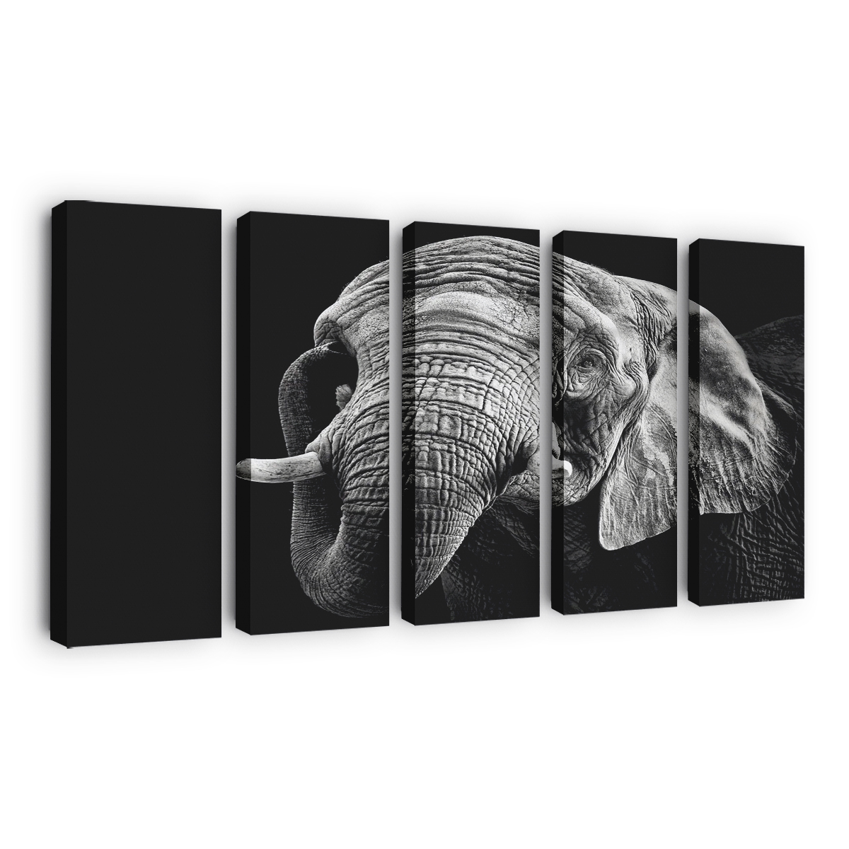 African Elephant Canvas Wall Art, Modern Art, Framed Canvas