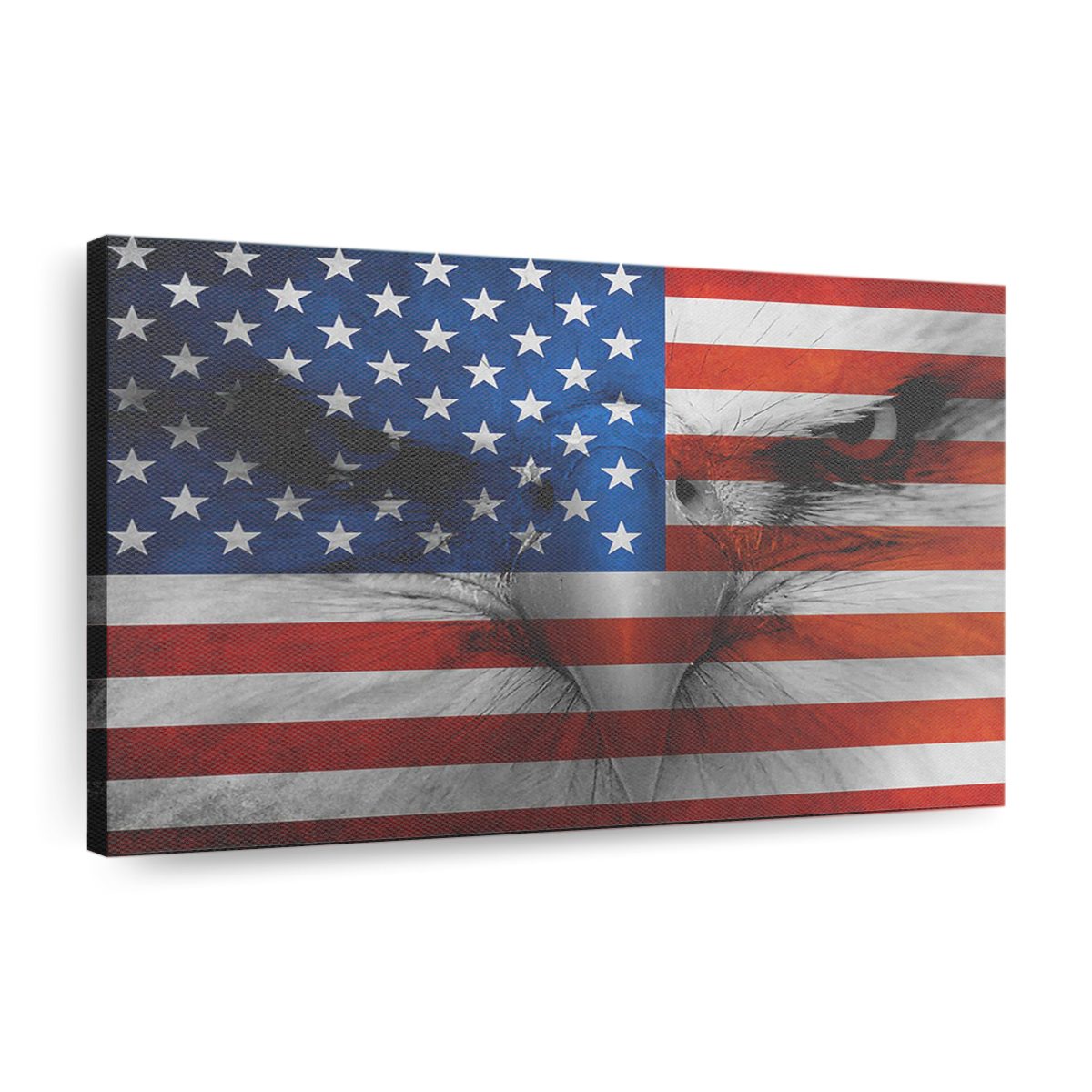 American Eagle Canvas Wall Art, Quote Canvas, Motivational Wall Art